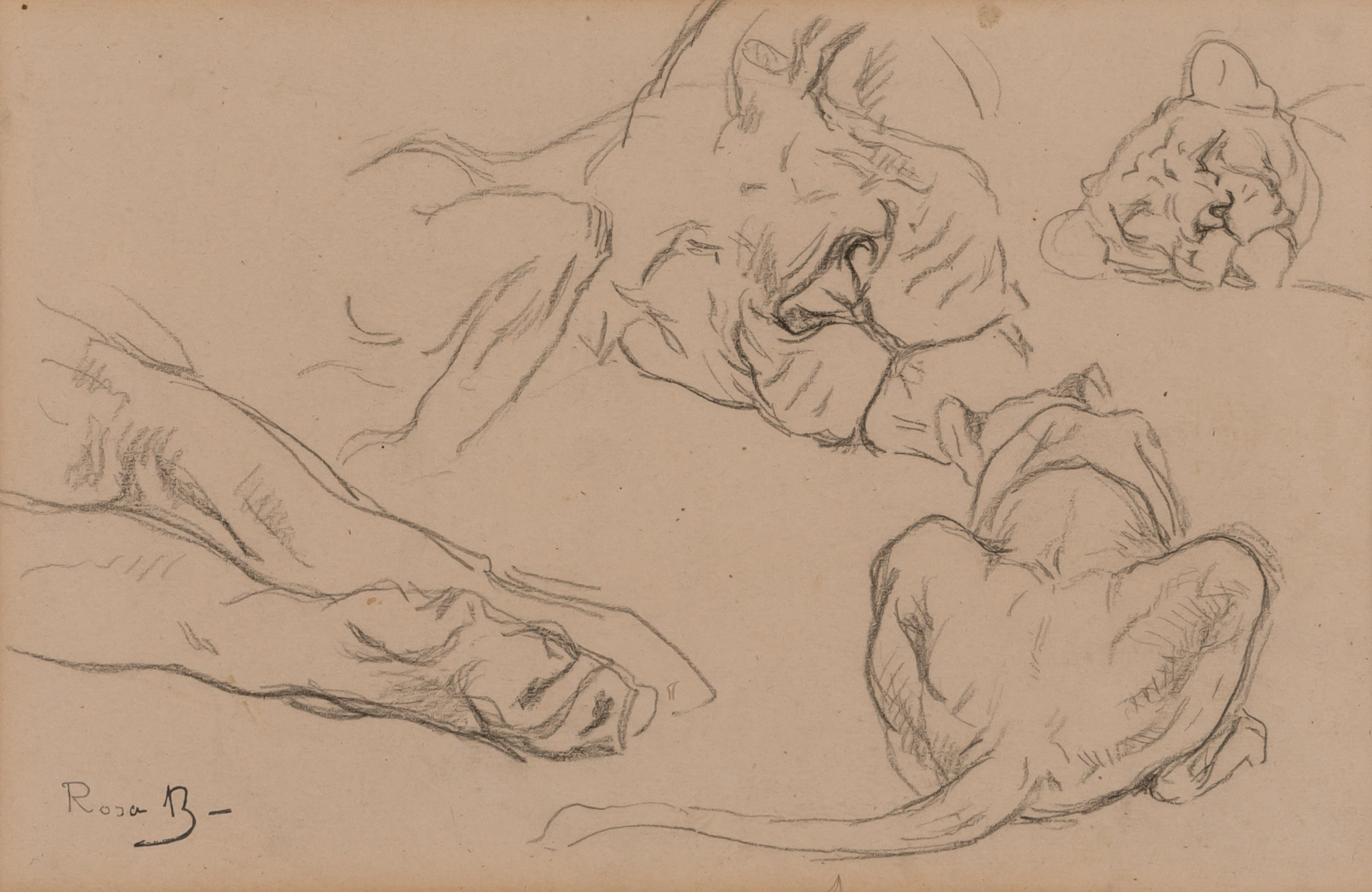 Lot image - Rosa Bonheur