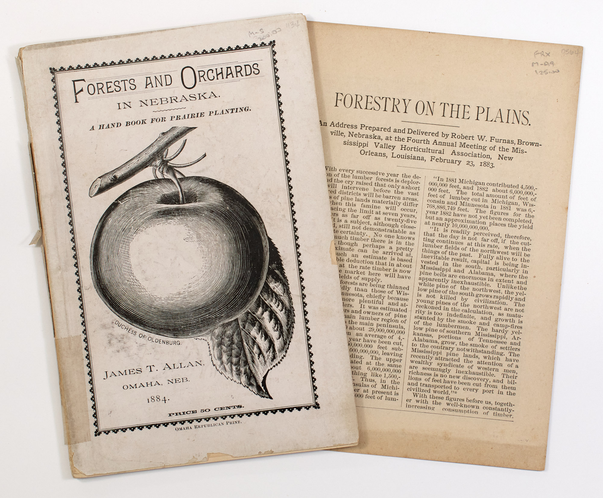 Lot image - [PAMPHLETS-AMERICANA]  Group of approximately fifty American pamphlet publications on various aspects of American politics, education, religion, settlement, the Civil War, etc.