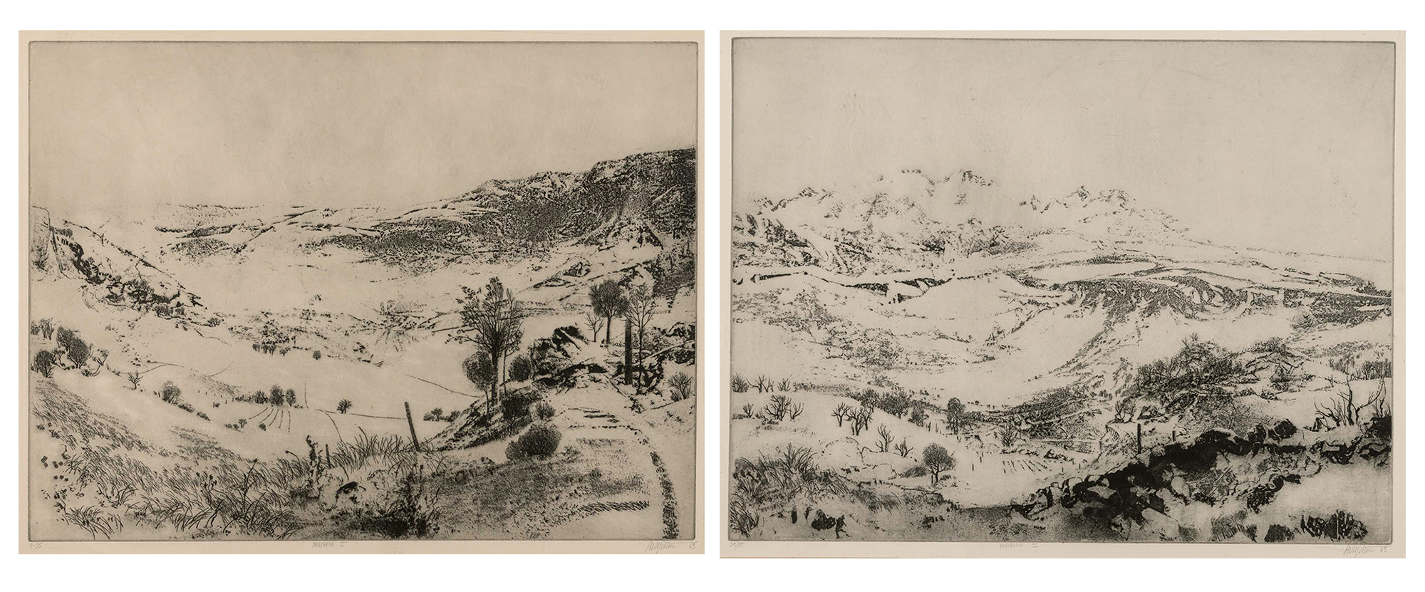 Lot image - Peter Milton (b. 1930)