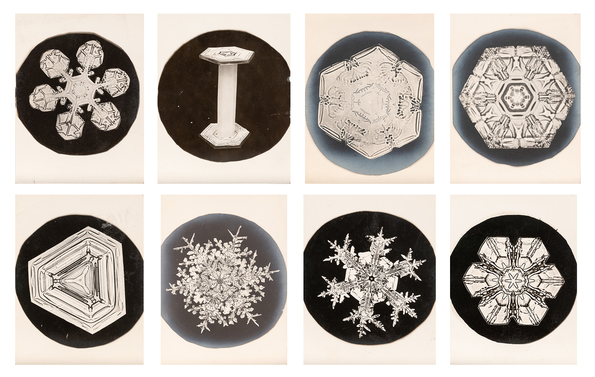Lot image - BENTLEY, WILSON A. (1865-1931)  Eight gold chloride toned photomicrographs of snow crystals,