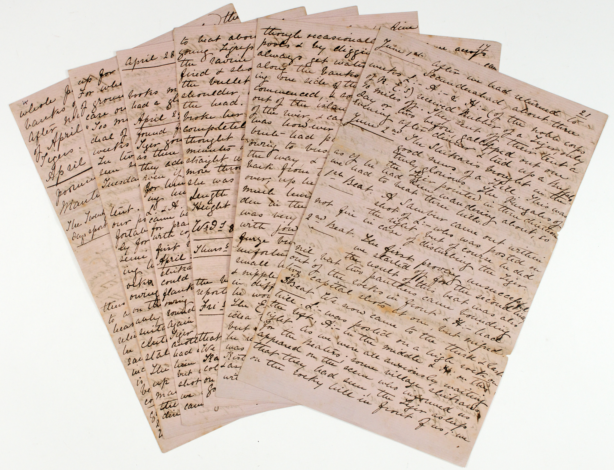 Lot image - [INDIA-HUNTING]  A short Journal of Twenty Days Tiger Shooting on the R.[iver] Godavery 140 miles north of Secunderabad, the Deccan.