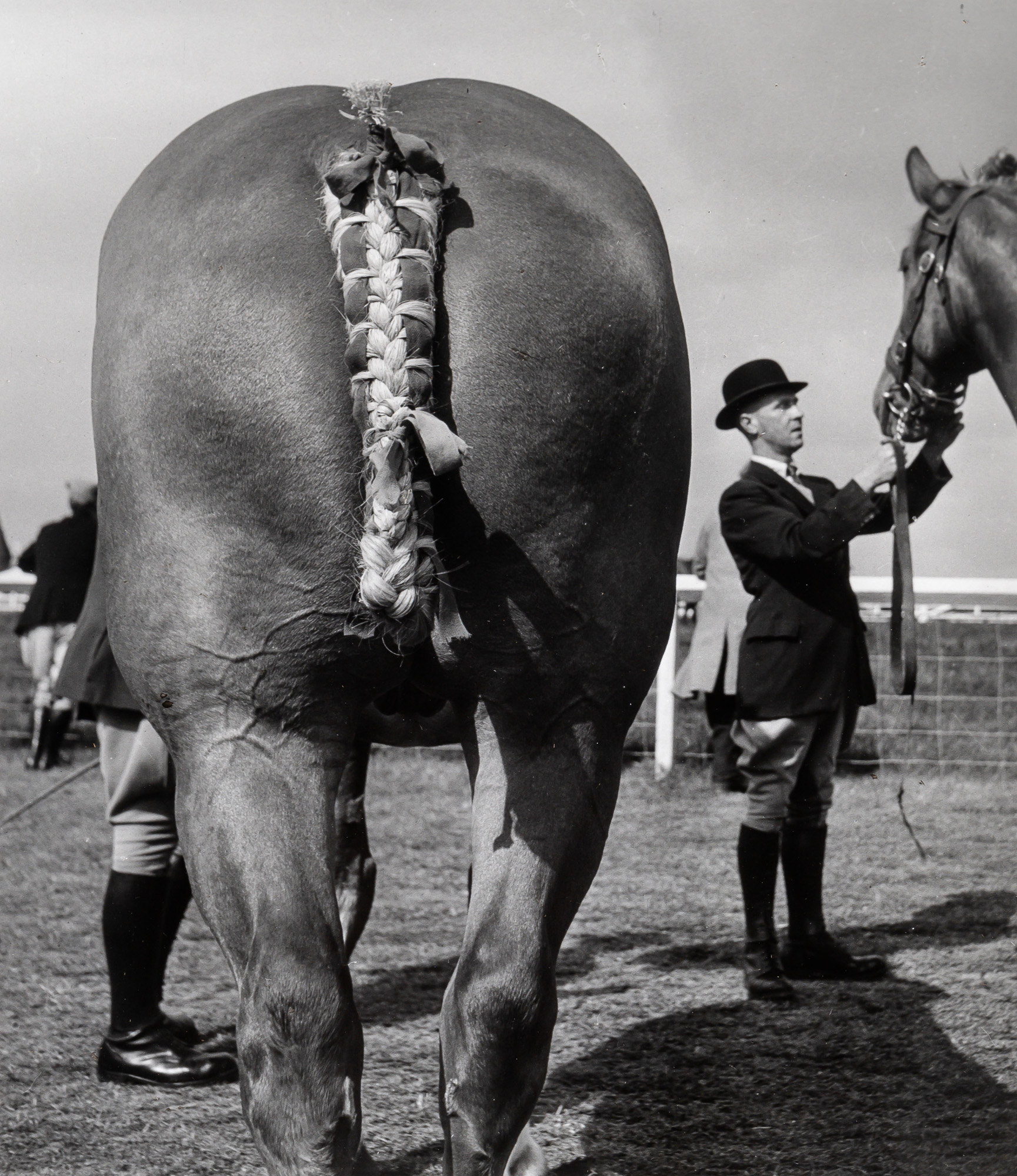 Lot image - BRASSAI [HALASZ, GYULA] (1899-1984) The Royal Show [The Royal Horse Show, Newcastle, England, 1959], printed 1970s.