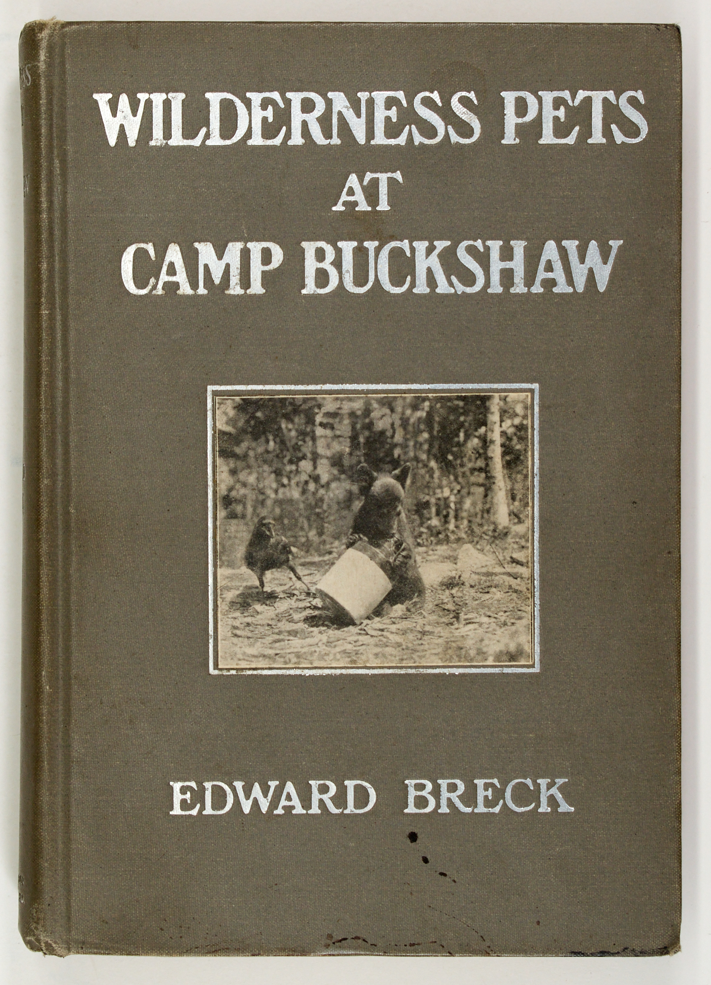 Lot image - [AMERICA-HUNTING]  BRECK, EDWARD. Wilderness Pets at Camp Buckshaw.