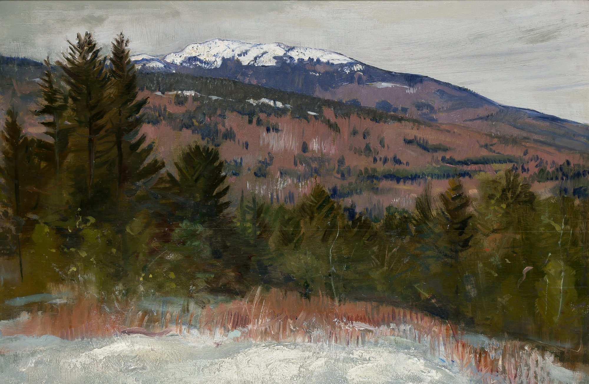 Lot image - Abbott Handerson Thayer