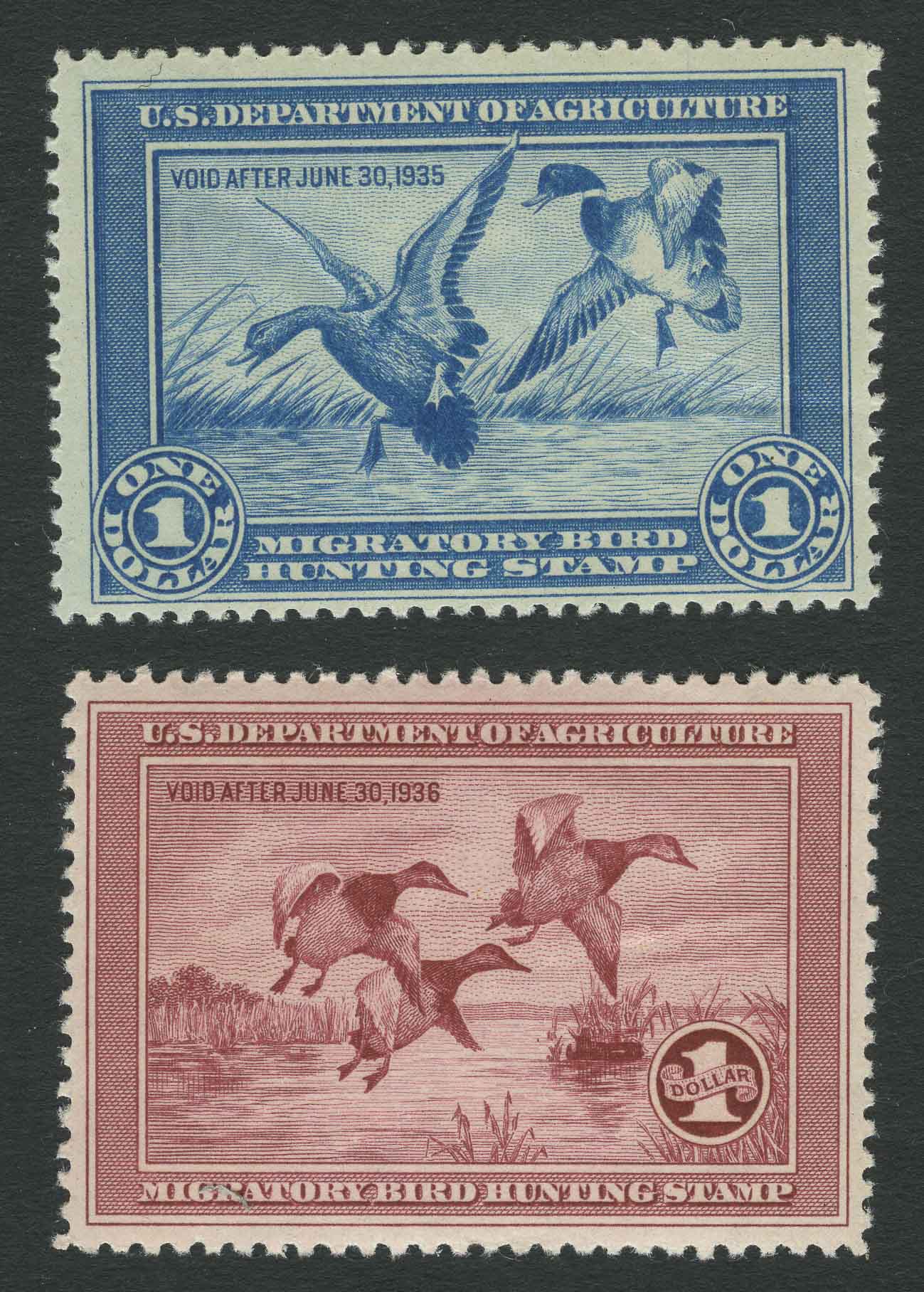 Lot image - United States Hunting Permits