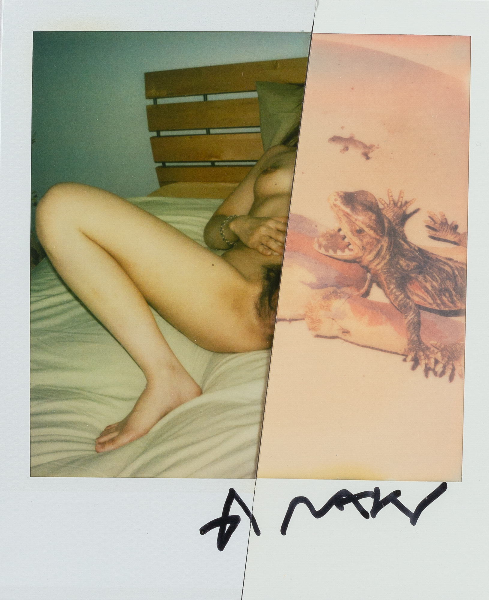 Lot image - ARAKI, NOBUYOSHI (b. 1940)