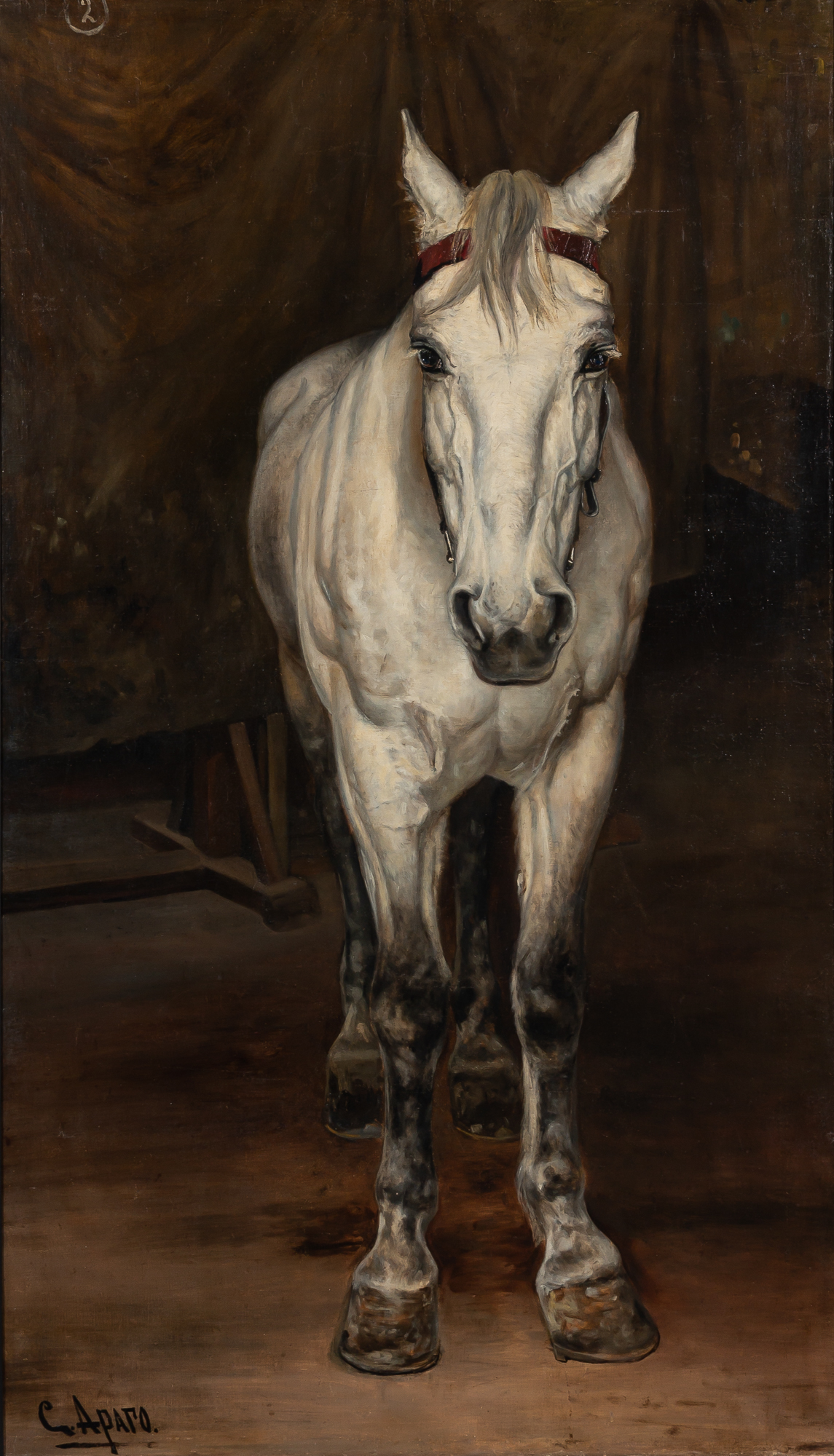 Lot image - C. Aparo