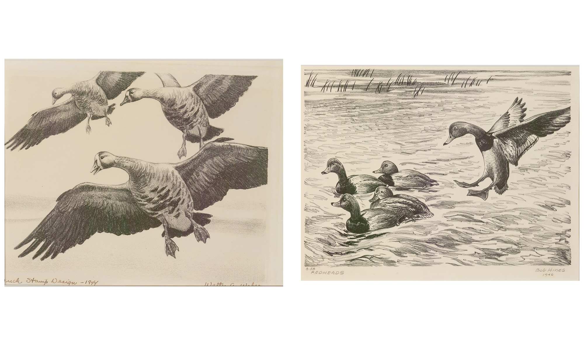 Lot image - Walter Weber (1906-1979)