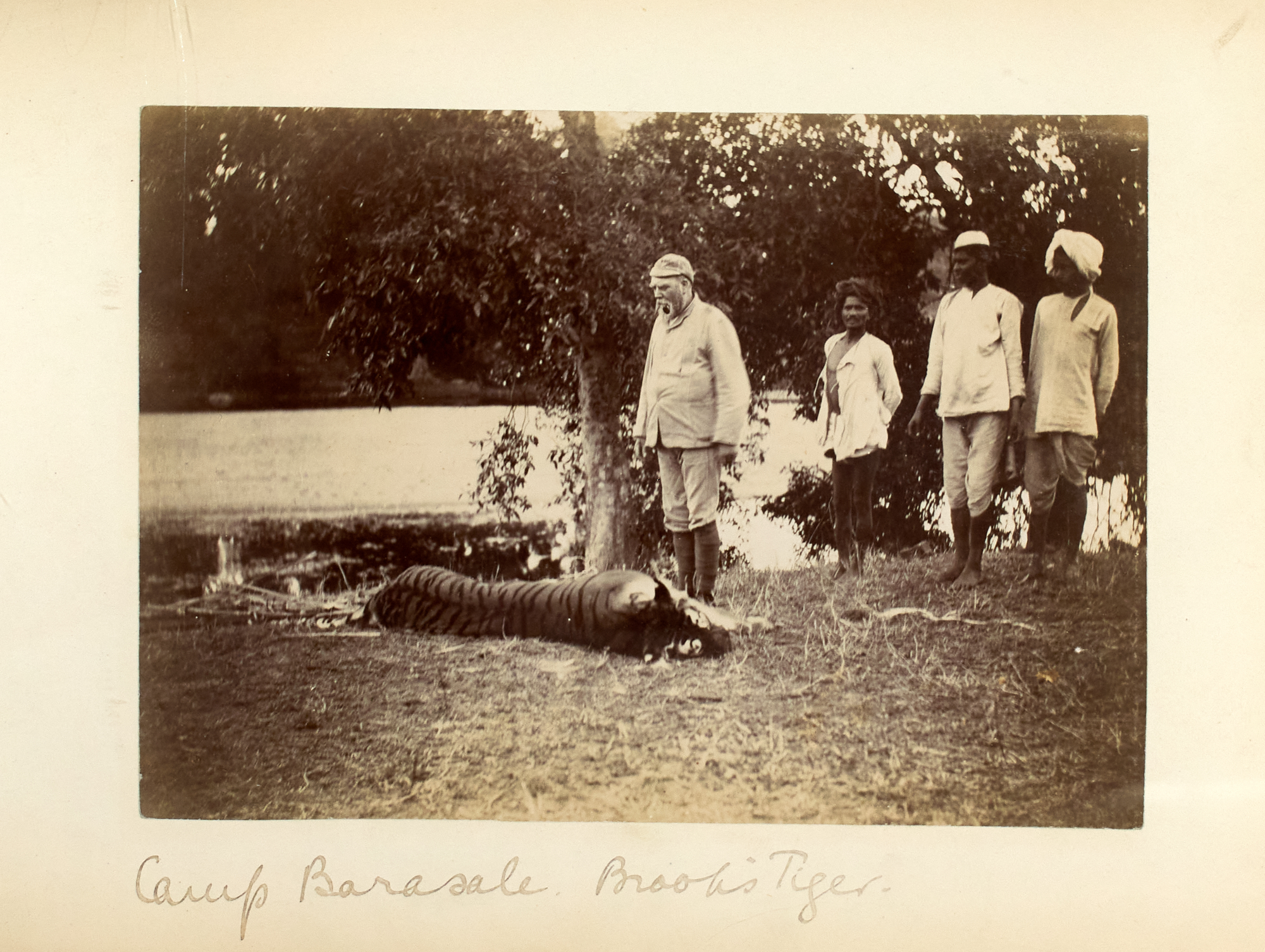 Lot image - [INDIA-HUNTING]  [Hunting Tiger and Sambur in Central India].