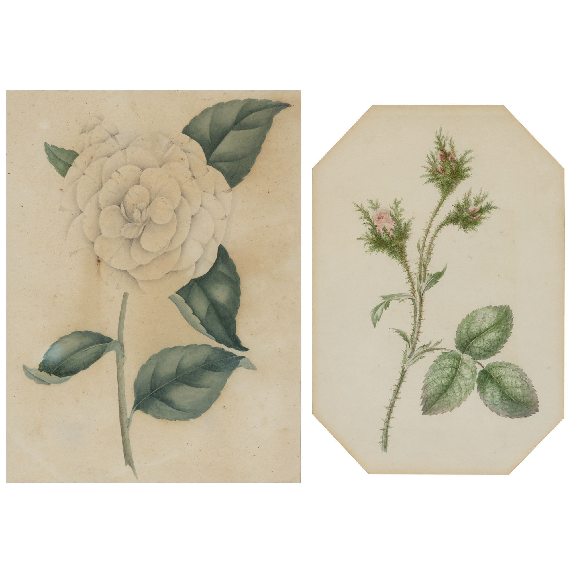 Lot image - French School