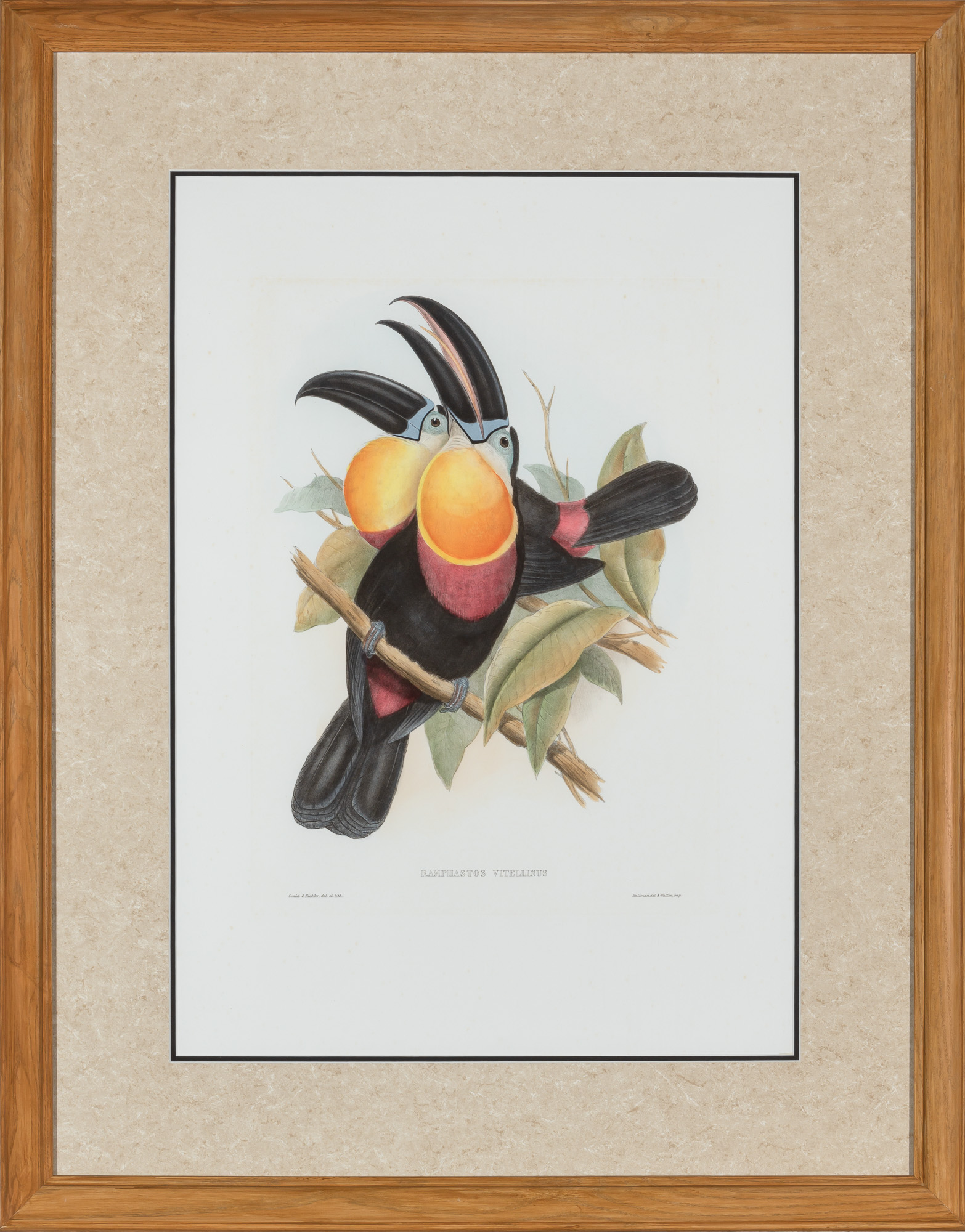 Lot image - [PRINTS-BIRDS/BOTANICALS]  Group of miscellaneous large framed color botanical and bird prints and graphics.