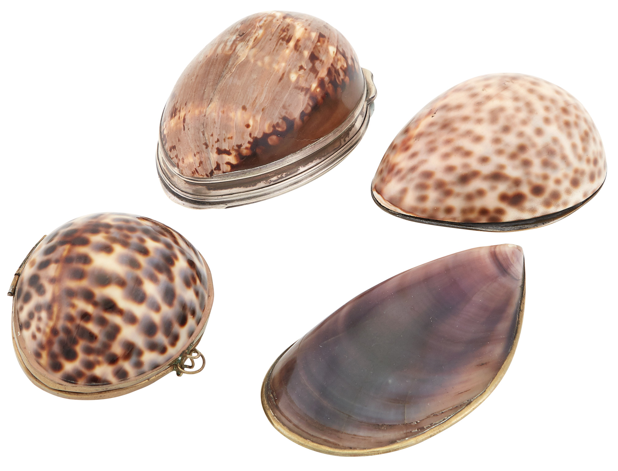 Lot image - Silver Mounted Shell Snuffbox