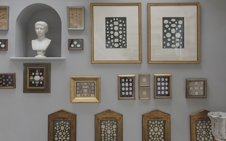 Image for story - A Collector's Lesson