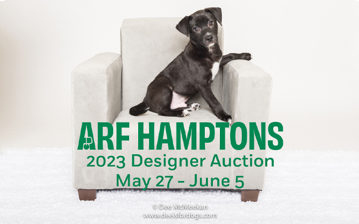 Image for story - ARF Designer Auction 2023