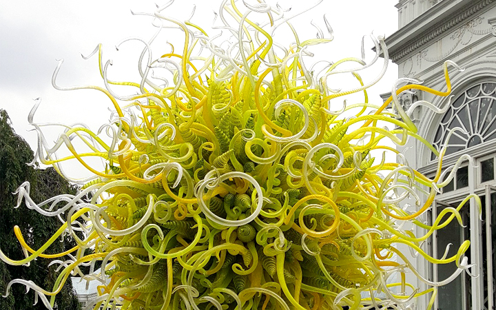Image for story - CHIHULY