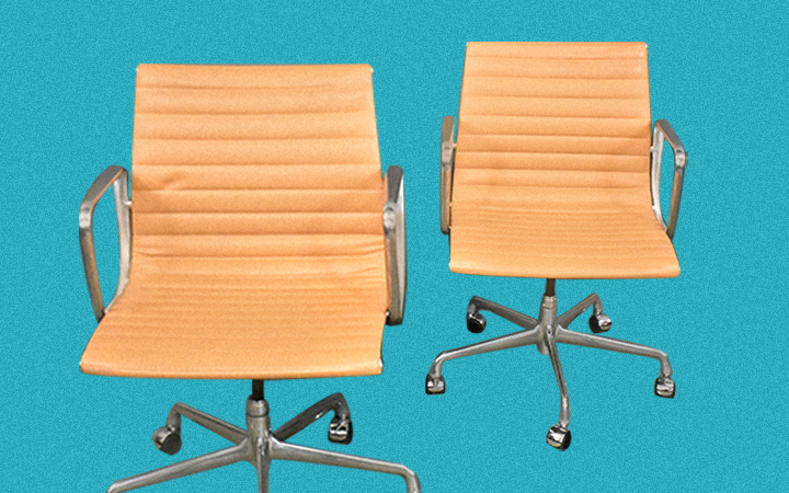 Image for story - Shopping at Hayloft Auctions! 