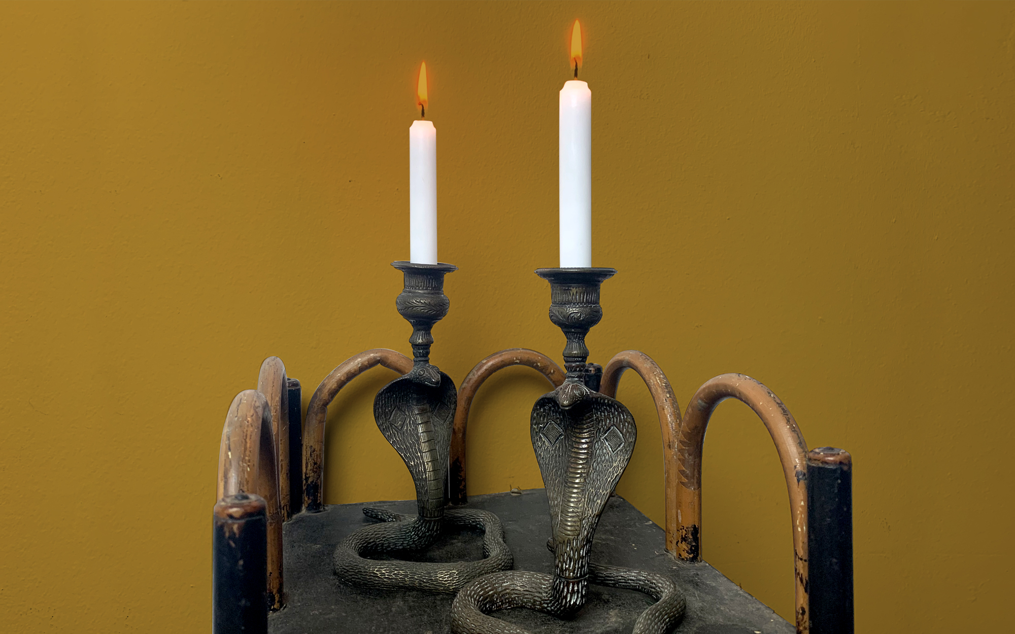 Image for story - Shopping at Hayloft Auctions!