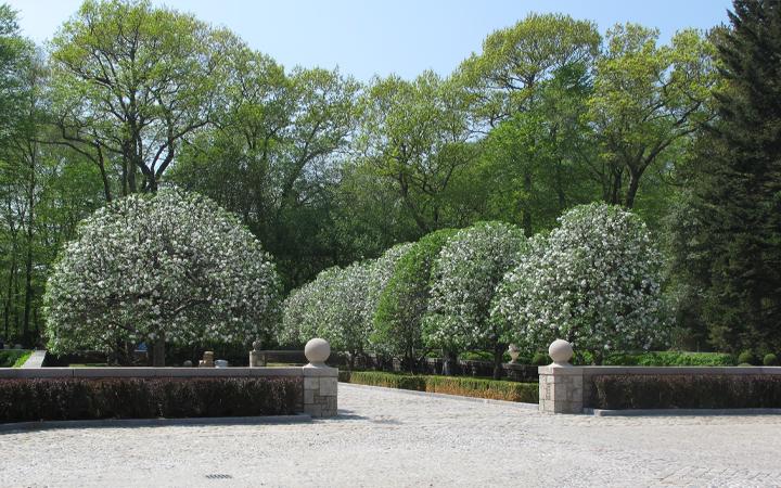 Image for story - A Visit to Chateau Ridge