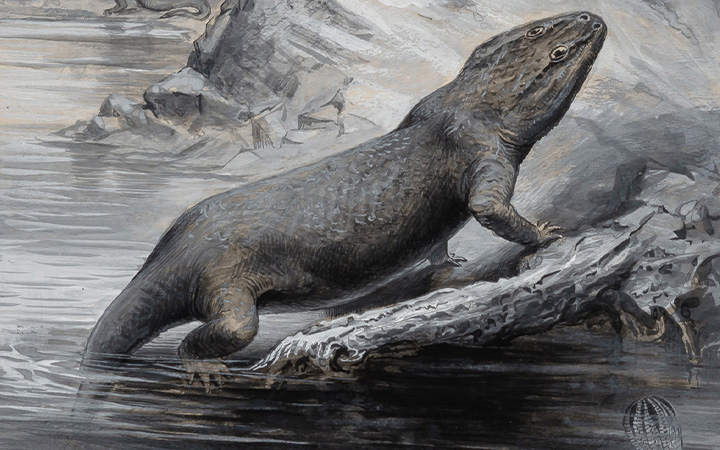 Image for story - Delightful Dinosaurs: Henry Knipe’s Paleontological Poetry