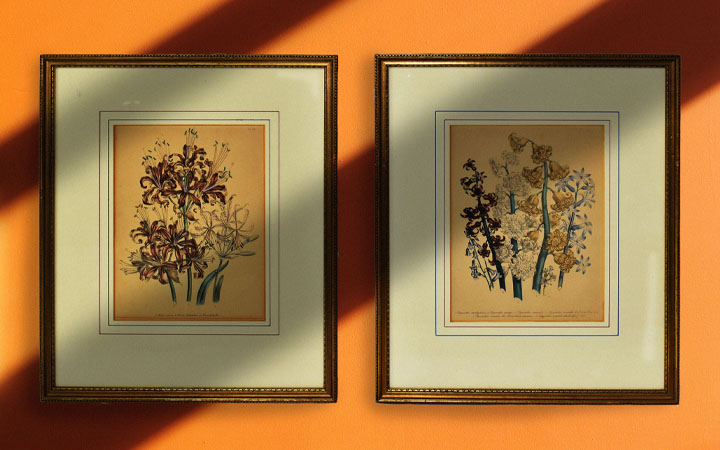 Image for story - Shopping at Hayloft Auctions!