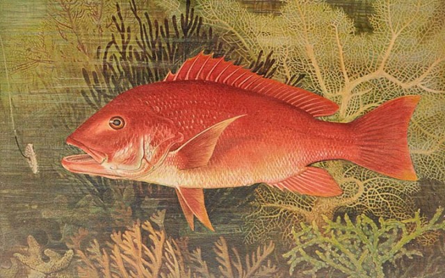 Angling and Miscellaneous Books from the Library of Arnold 'Jake' Johnson