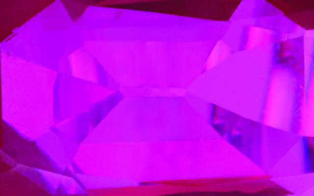 Fine Jewelry and Luxury Handbags