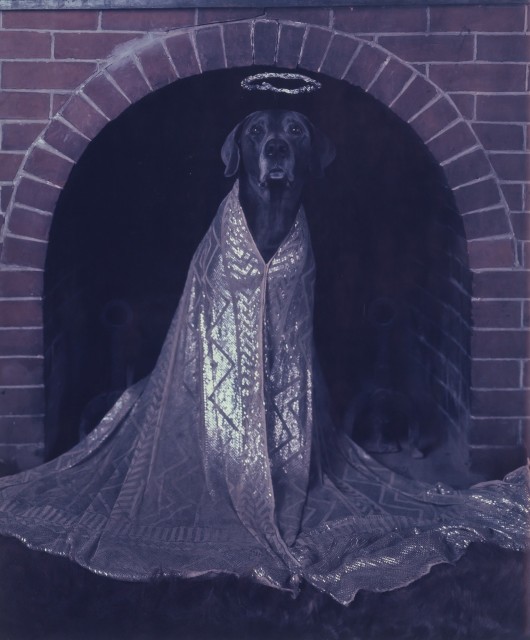 WEGMAN, WILLIAM (b. 1943)  Good Dog, (Angel)