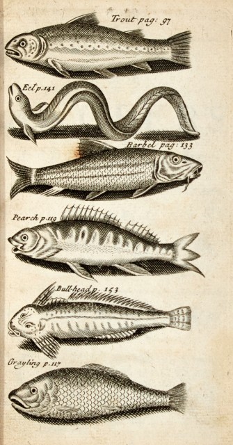 [ANGLING-CHETHAM, JAMES]  The Angler's Vade Mecum: or, a Compendious, yet Full, Discourse of Angling.