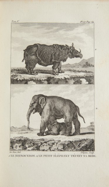 [BUFFON] BERNARD, P.  Histoire Naturelle de Buffon.