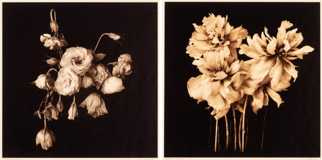 BARROW, REENIE (b. 1944)  Two photographs.