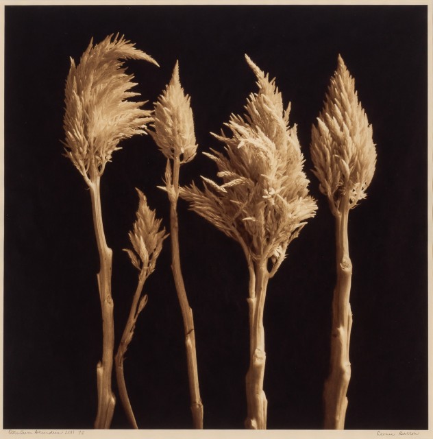 BARROW, REENIE (b. 1944)  Three photographs.