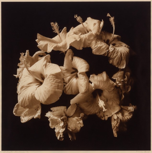 BARROW, REENIE (b. 1944)  Two photographs.