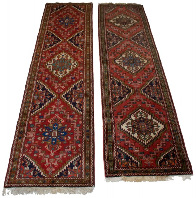 Two Northwest Persian Runners