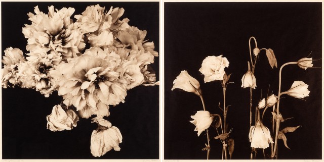 BARROW, REENIE (b. 1944)  Two photographs.