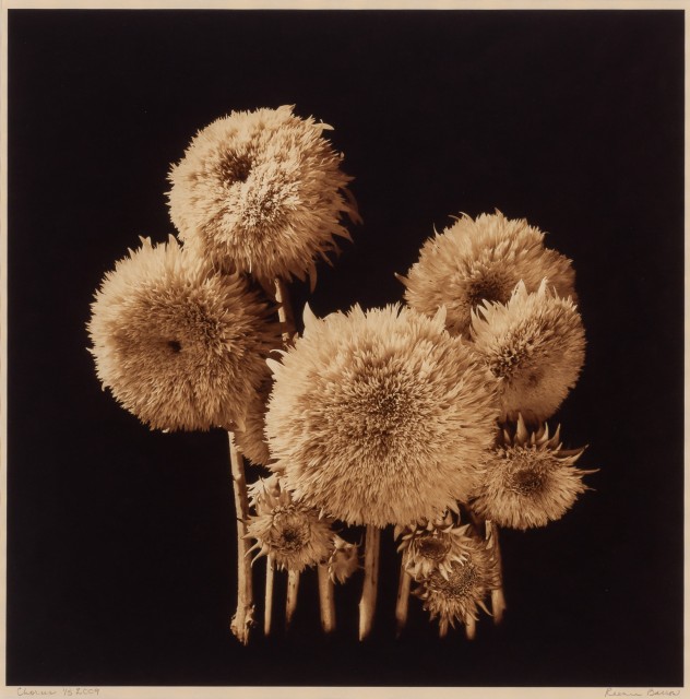 BARROW, REENIE (b. 1944)  Three photographs.