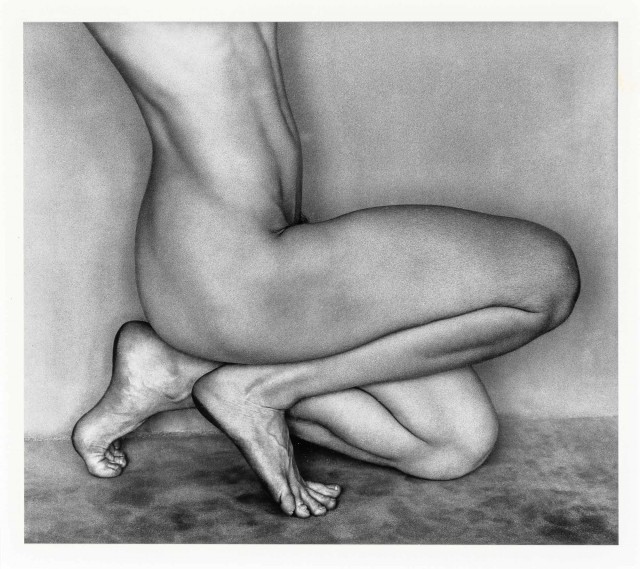 WESTON, EDWARD (1886-1958)  Nude [#62, Dancer's Knees-Bertha, Glendale],