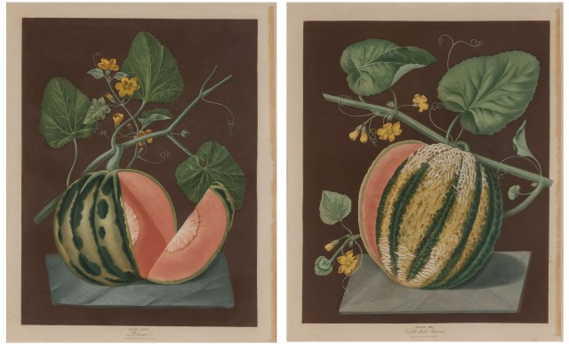 George Brookshaw (1751-1823)