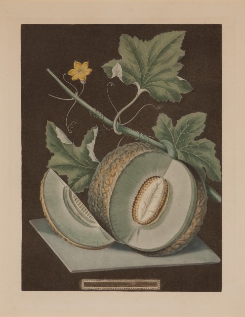 George Brookshaw (1751-1823)