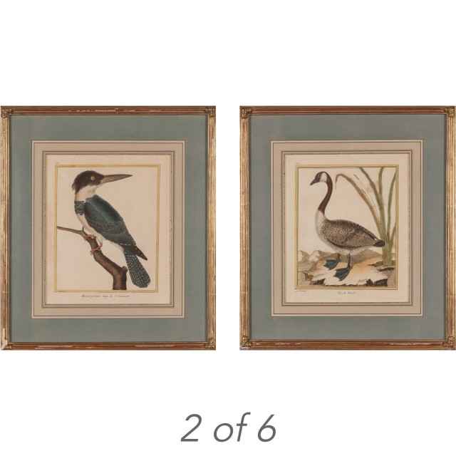 After François-Nicolas Martinet  (circa