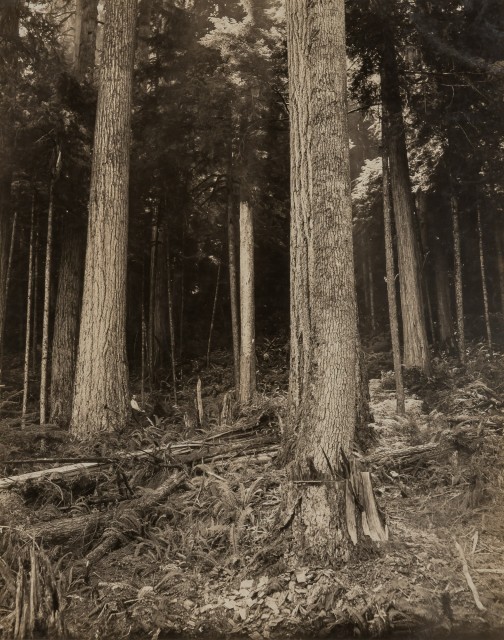 KINSEY, DARIUS (1869-1945)  Group of six gelatin silver prints,