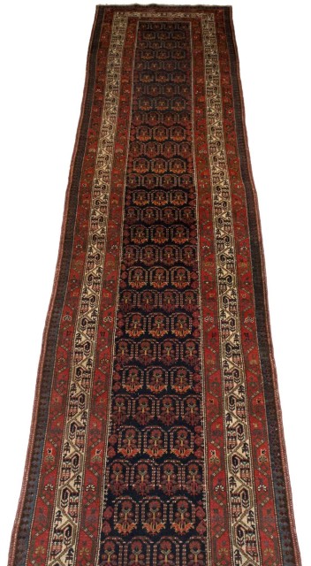 Northwest Persian Runner