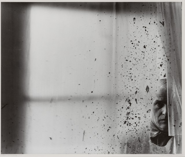 NEWMAN, ARNOLD (1918-2006)  Willem de Kooning,