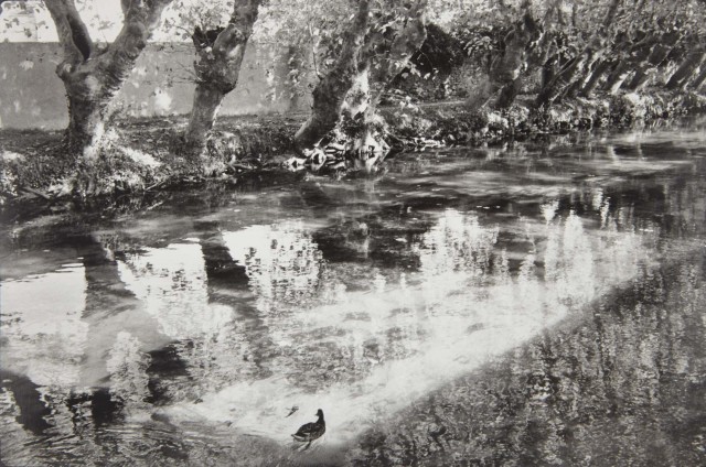 CARTIER-BRESSON, HENRI (1908-2004)  l'isle sur-la-sorgue, Vaucluse, France,