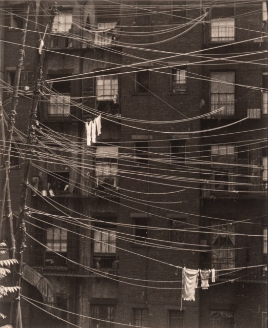 STEINER, RALPH (1899-1986)