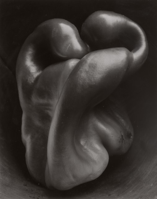 WESTON, EDWARD (1886-1958)  Pepper [Negative 30P],