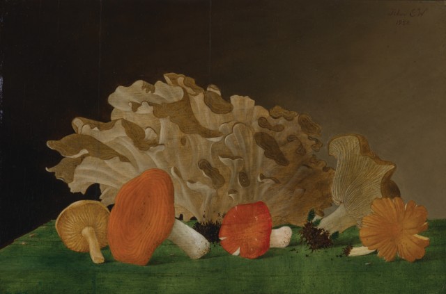John Henry Wilde (1909-2006), Still Life with Toadstools II, 1952. Est. $5,000-7,000. Lot 80. Auction Oct 4