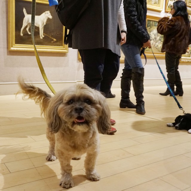 Dogs in Art event co-hosted with ARF
