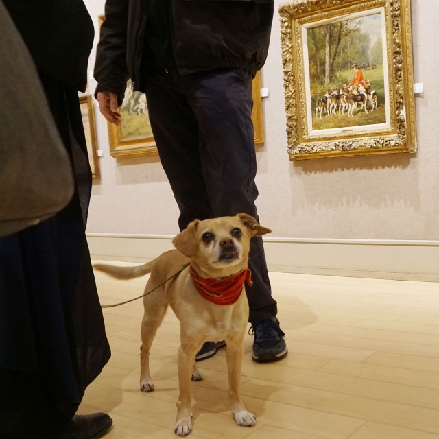 Dogs in Art event co-hosted with ARF
