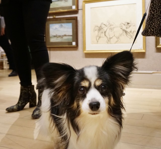 Dogs in Art event co-hosted with ARF