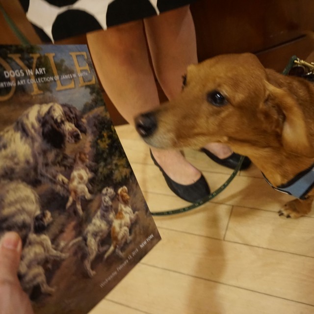 Dogs in Art event co-hosted with ARF